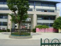 紫薇小学