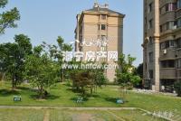 隆溪玫瑰园