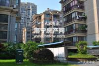 隆溪玫瑰园