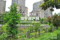 隆溪玫瑰园