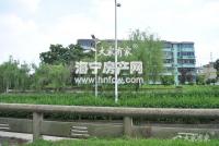 东立交桥