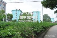 东立交桥