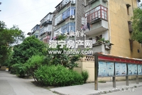 由拳里