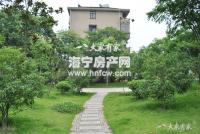鹃湖里