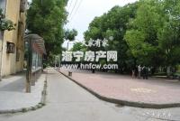 由拳里