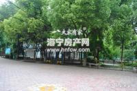 由拳里
