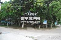 由拳里