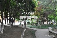 由拳里