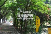 由拳里