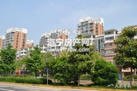 洛洲小区