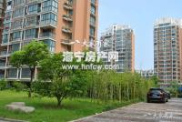 洛洲小区