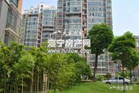 洛洲小区