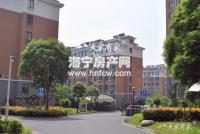 洛洲小区