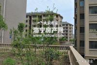 丽都水岸