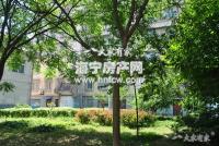 梅园公园前