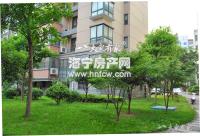阳光水岸