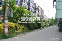 成园里(新)