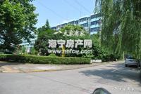 成园里(新)