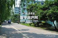 成园里(新)