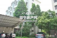 劳动局对面