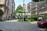 白漾花园