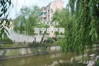 白漾花园