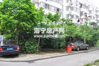 东白漾(新)