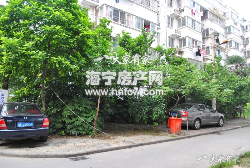 东白漾(新)