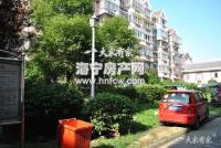 沙泗浜