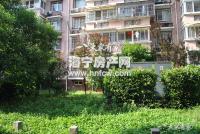 沙泗浜