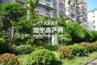 西南河(新)