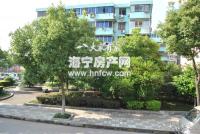 西南河(旧)