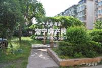 西南河(旧)
