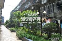 新华里(新)