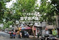 影友摄影边