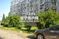 卜家埭(新)