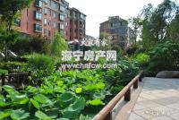 卡森景香园
