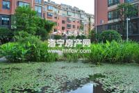 卡森景香园