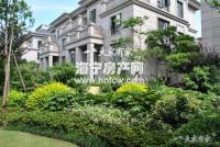 东方艺墅排屋