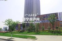 倾城一品