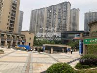 东方都市