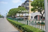 城西菜场对面